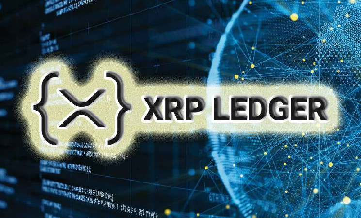 
			Активность в сети XRP Ledger на историческом максимуме		