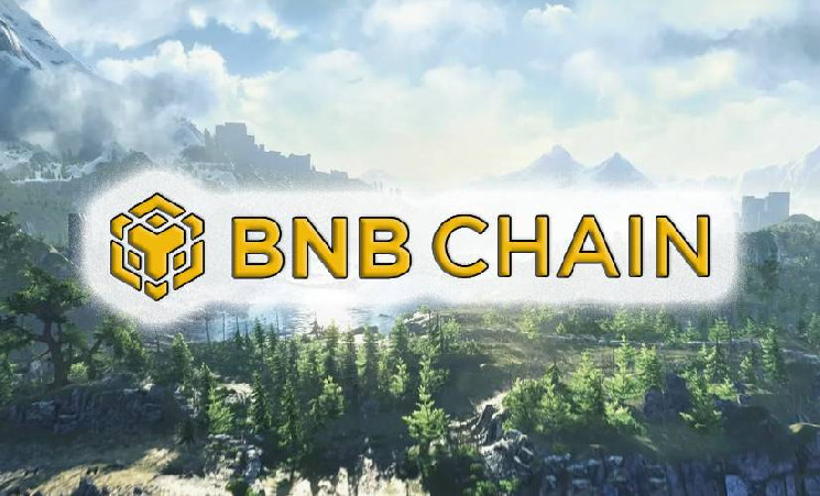 
			BNB Chain остается лидером сектора Web3 Gaming		